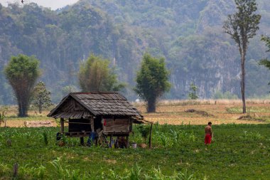 Thakhek, Laos - 20 Nisan 2018: Adam dağlar ve Güney Laos uzak bir bölgede yeşil bitki örtüsü ile çevrili bir rustik ahşap evin önünde