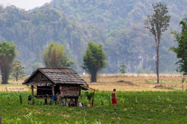 Thakhek, Laos - 20 Nisan 2018: Adam dağlar ve Güney Laos uzak bir bölgede yeşil bitki örtüsü ile çevrili bir rustik ahşap evin önünde