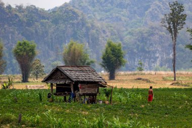 Thakhek, Laos - 20 Nisan 2018: Adam dağlar ve Güney Laos uzak bir bölgede yeşil bitki örtüsü ile çevrili bir rustik ahşap evin önünde