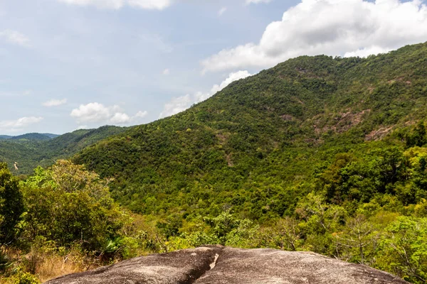 Selva selvagem Koh Phangan — Fotografia de Stock