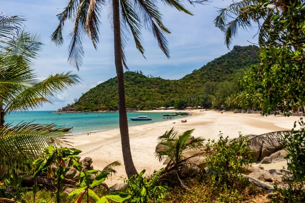 Garrafa Praia Koh Phangan Tailândia — Fotografia de Stock