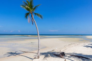 Koh Samui rüya plaj tayland