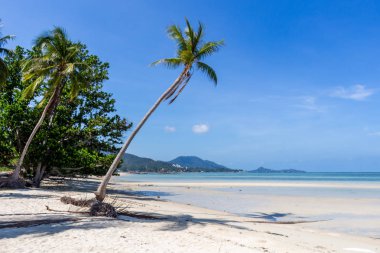 Koh Samui rüya plaj tayland