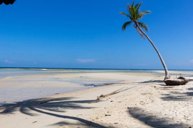Koh Samui rüya plaj tayland