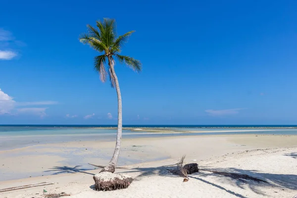 Koh Samui Traumstrand Thailand — Stockfoto