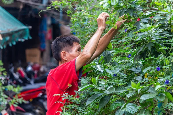 Jardinagem de rua Bangkok Tailândia — Fotografia de Stock
