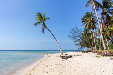 Avuç içi ve beyaz kum Koh Samui