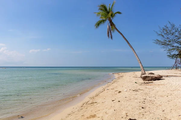 Avuç içi ve beyaz kum Koh Samui