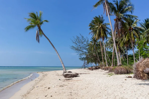 Avuç içi ve beyaz kum Koh Samui