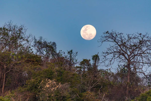 Full Moon Koh Phangan