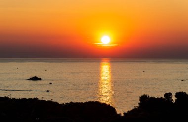Vrsar Istria Adriyatik Denizi Hırvatistan