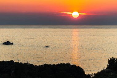 Vrsar Istria Adriyatik Denizi Hırvatistan