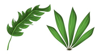 Orman resim bırakır