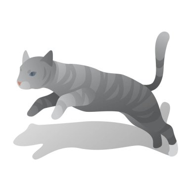 izometrik zıplayan kedi