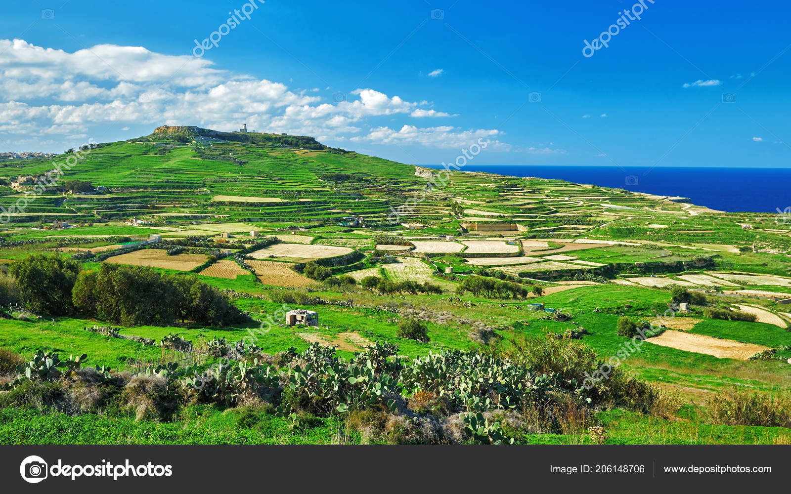 Green Land Gozo Island Malta Stock Photo C Vlade Mir