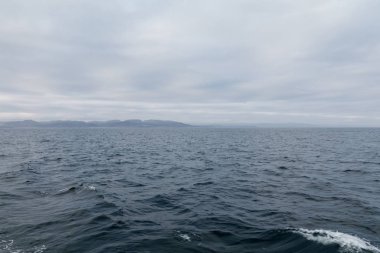 Barents Denizi, Teriberka, Murmansk bölgesi, Rusya sahil görünümü