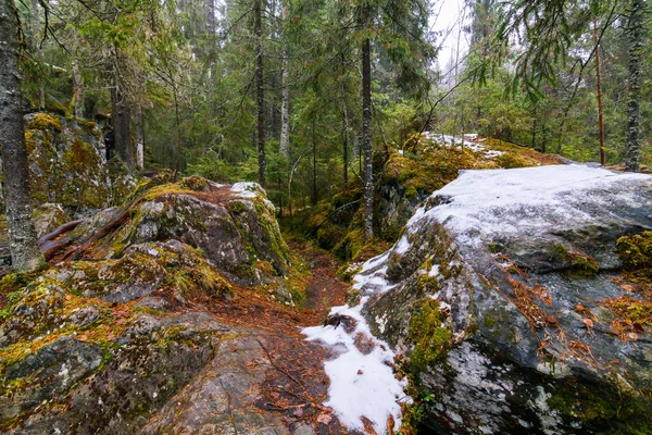 Karelya, Rusya Cumhuriyeti doğası