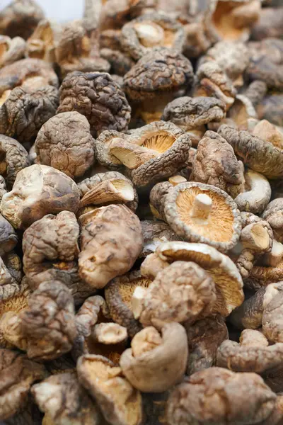 Dried shiitake mushrooms piled up on the counter of a market for sale as an ingredient