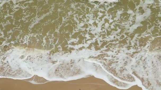 Plage de la mer Plage turquoise tropicale idyllique dans la mer des Caraïbes avec rivage de sable blanc 