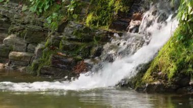 Epik şelale yaz ormanın içinde. Dağ dere doğa arka plan