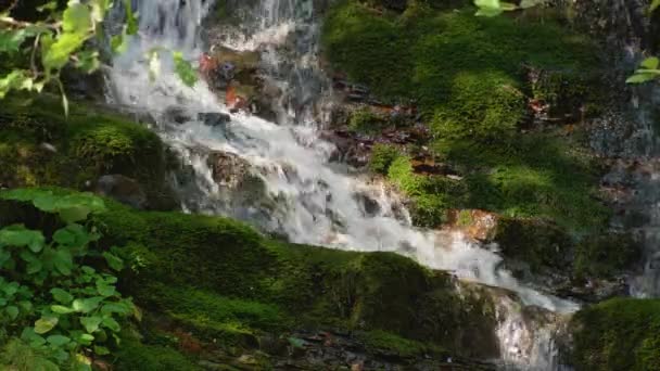 Cascada épica en el bosque de verano. Montaña corriente naturaleza fondo — Vídeo de stock