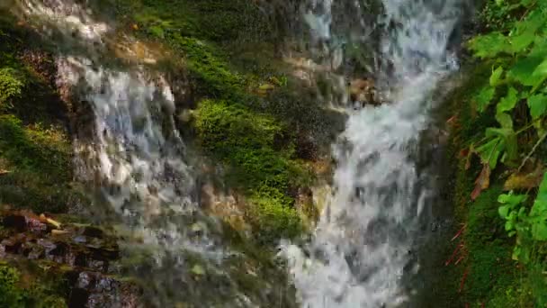 Cascada épica en el bosque de verano. Corriente — Vídeos de Stock