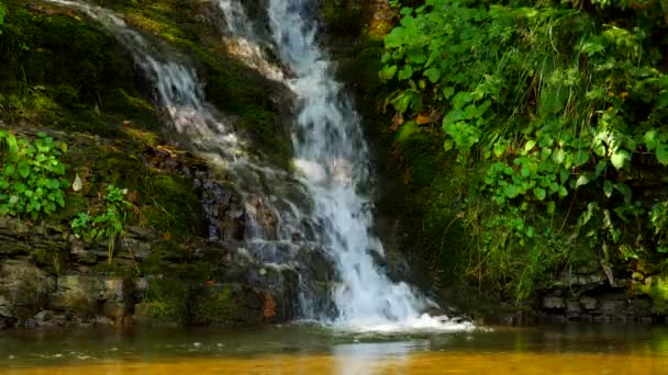 Epickie wodospad las lato. Strumień — Wideo stockowe
