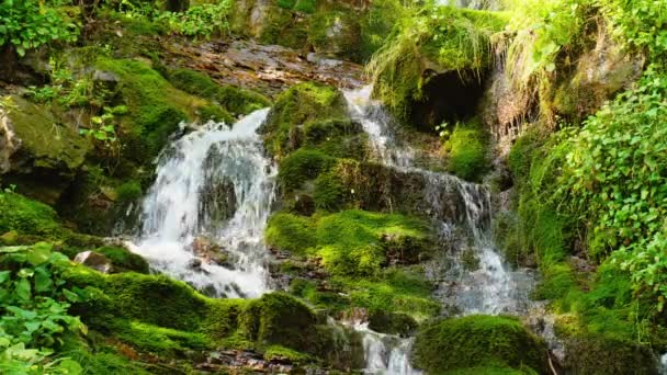 Impozantní vodopád v lese v létě. Horská proudu přírodní pozadí — Stock video