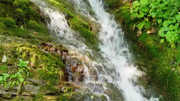 Cascada épica en el bosque de verano. Montaña corriente naturaleza fondo — Vídeos de Stock