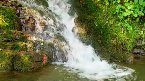 Эпический водопад в летнем лесу. Поток — стоковое видео