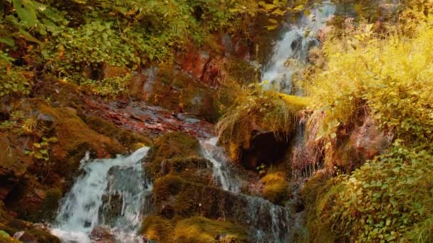 Cascada épica en el bosque de otoño . — Vídeo de stock