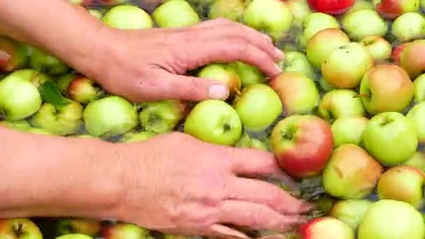 Händerna tvätta äpplen närbild. Frukt och rent vatten. — Stockvideo