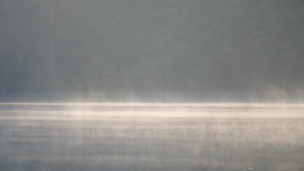 Tôt le matin brume se levant sur l'eau — Video