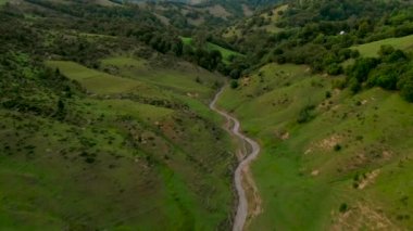 Kırsal ve orman harika Video Drone üzerinde uçan
