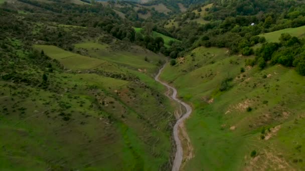 Létání nad krajinu a lesní Fantastické Video Drone — Stock video