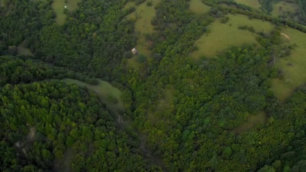 Volando sobre el campo y el bosque maravilloso dron de vídeo — Vídeo de stock