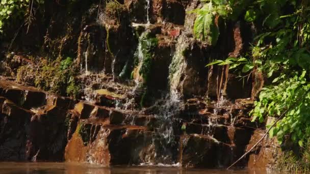 Kayanın üzerinde çalışan aşağı su. Doğa orman manzara — Stok video