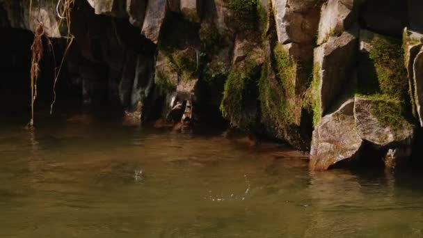 Water op rots rennen. Natuur boslandschap — Stockvideo