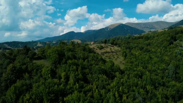 Volando sobre el bosque Paisaje maravilloso de la naturaleza — Vídeo de stock