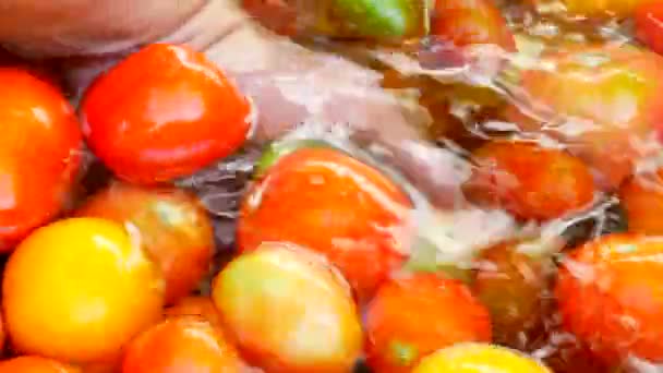 Mytí tomatoesclose ruce. Zelenina a čistou vodu. — Stock video