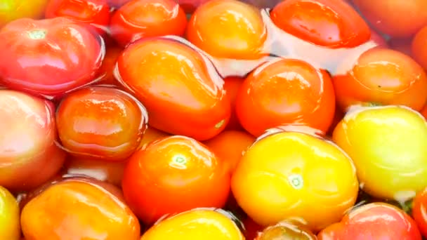 Mãos lavando tomatosclose up. Produtos hortícolas e água limpa . — Vídeo de Stock