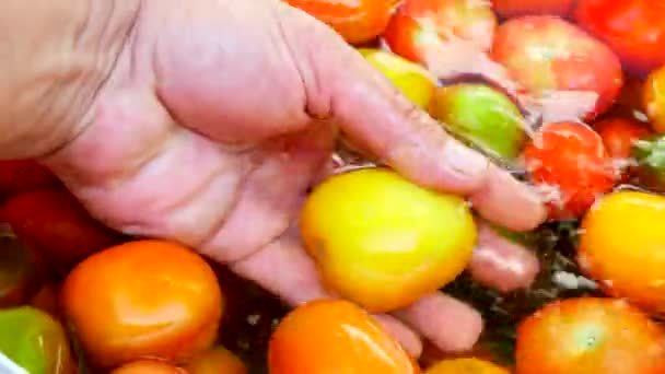Mãos lavando tomatosclose up. Produtos hortícolas e água limpa . — Vídeo de Stock