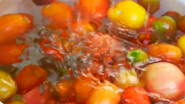 Hands washing tomatoesclose up. Vegetables and clean water. — Stock Video