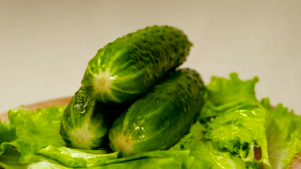 Verduras orgánicas frescas girando sobre mesa de madera. Pepino — Vídeo de stock