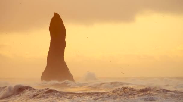 Κύματα που συντρίβονται στο βράχο στη μαύρη παραλία στην Ισλανδία — Αρχείο Βίντεο
