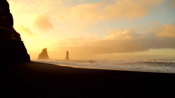 Хвилі врізався в скелі на чорному пляжі в Ісландії — стокове відео