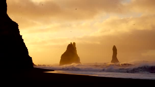 Onde che si infrangono contro la roccia sulla spiaggia nera in Islanda — Video Stock