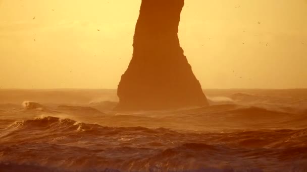 Fale upaść w skale na czarnej plaży w Islandii — Wideo stockowe
