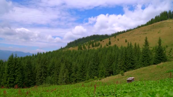 Ormanlı dağ. Bulutlar ile Güzel mavi gökyüzü ile Doğa timelapse Manzara — Stok video