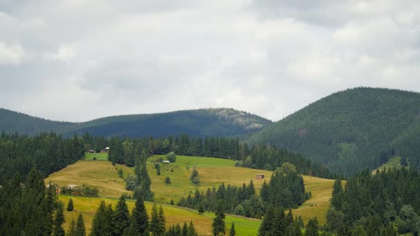 Montaña con bosque. Naturaleza timelapse Paisaje con hermoso cielo azul con nubes — Vídeo de stock